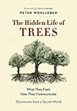 Peter Wohlleben The Hidden Life of Trees