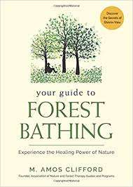 Amos Clifford Your Guide to Forest Bathing