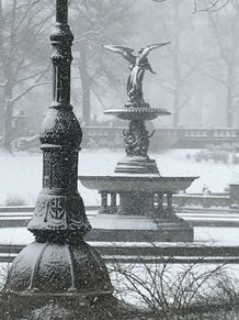 Central Park Bethesda Fountain in Winter